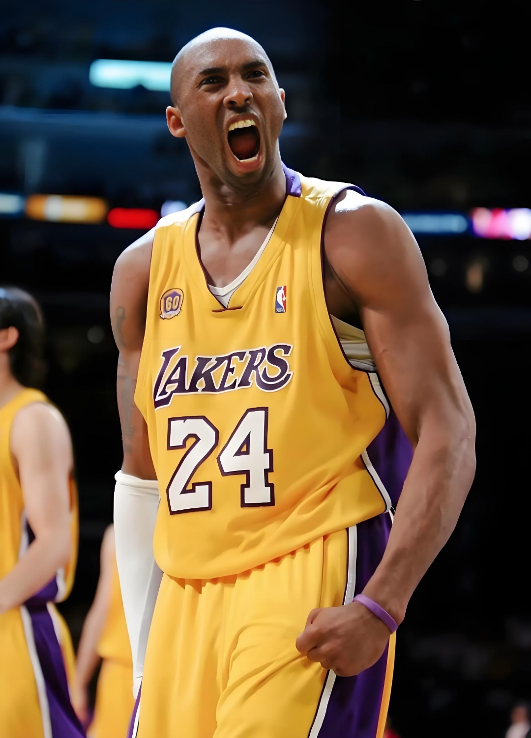 仅限于增加 仅限于增加